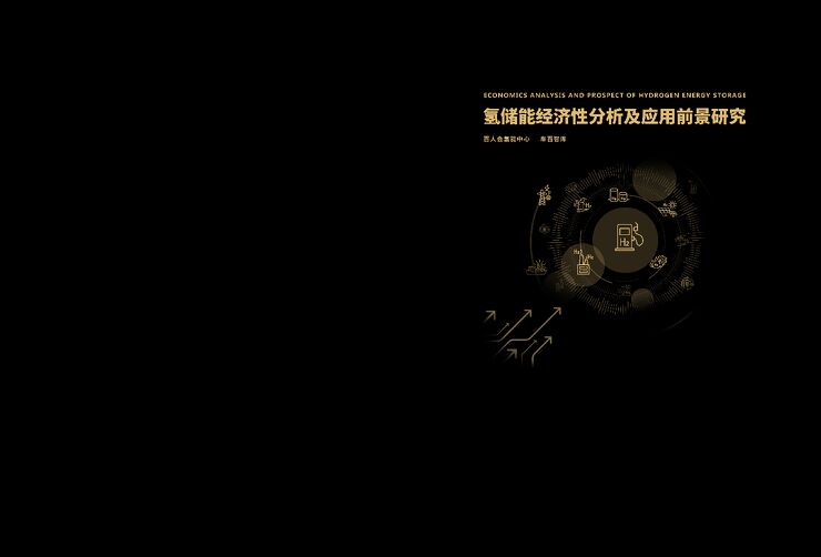 氢储能经济性分析及应用前景研究.pdf