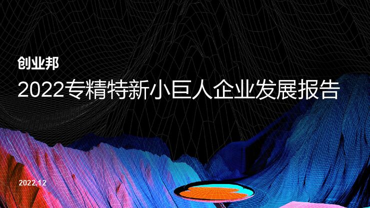 【创业邦】2022专精特新小巨人企业发展报告.pdf