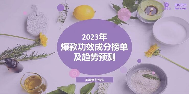 2023年爆款功效成分榜单及趋势预测-美丽修行.pdf