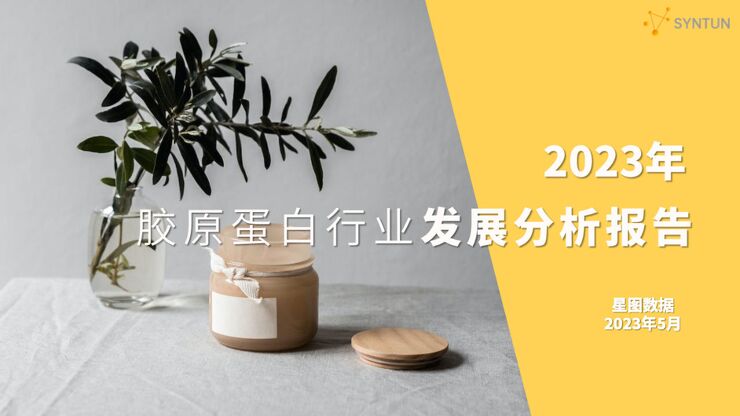 2023年胶原蛋白行业发展分析报告-星图数据-202305.pdf 2023年胶原蛋白行业发展分析报告-星图数据-202305.pdf