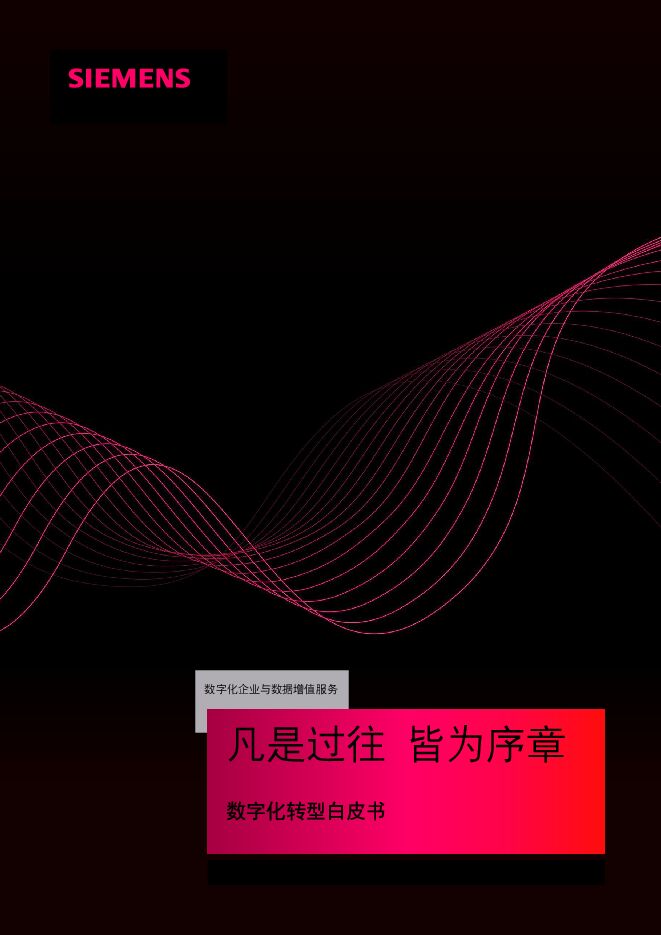 数字化转型白皮书.PDF