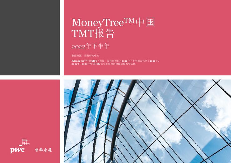 2022年度下半年MoneyTree™中国TMT报告-普华永道-202306.pdf