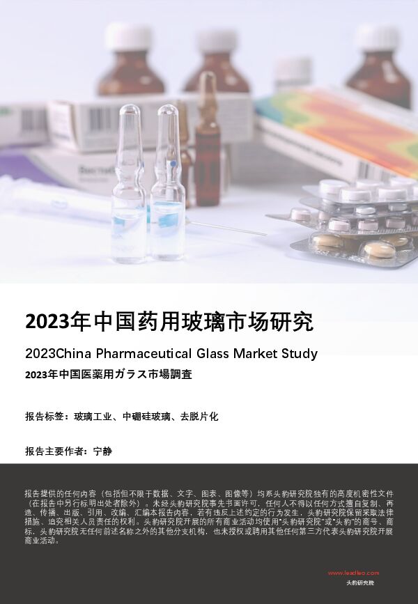 2023年中国药用玻璃市场研究-头豹研究院 202306-.pdf 2023年中国药用玻璃市场研究-头豹研究院 202306-.pdf