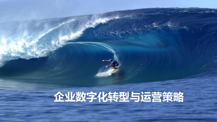 企业数字化转型与运营策略.pdf 企业数字化转型与运营策略.pdf