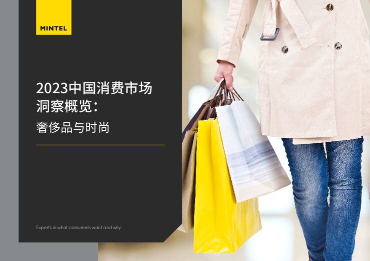 2023中国消费市场洞察概览奢侈品与时尚-英敏特-202306.pdf