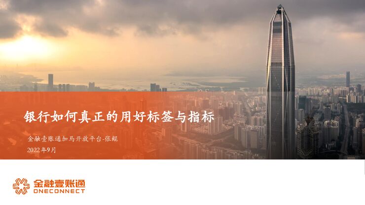 金融壹账通：银行如何真正的用好标签与指标.pdf