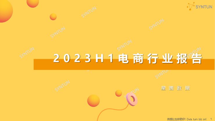星图数据:2023H1电商行业报告.pdf 星图数据:2023H1电商行业报告.pdf