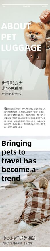 2023宠物箱包出海趋势洞察报告.pdf 2023宠物箱包出海趋势洞察报告.pdf
