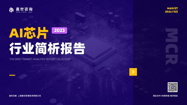 2023AI芯片行业发展简析报告-17页.pdf 2023AI芯片行业发展简析报告-17页.pdf