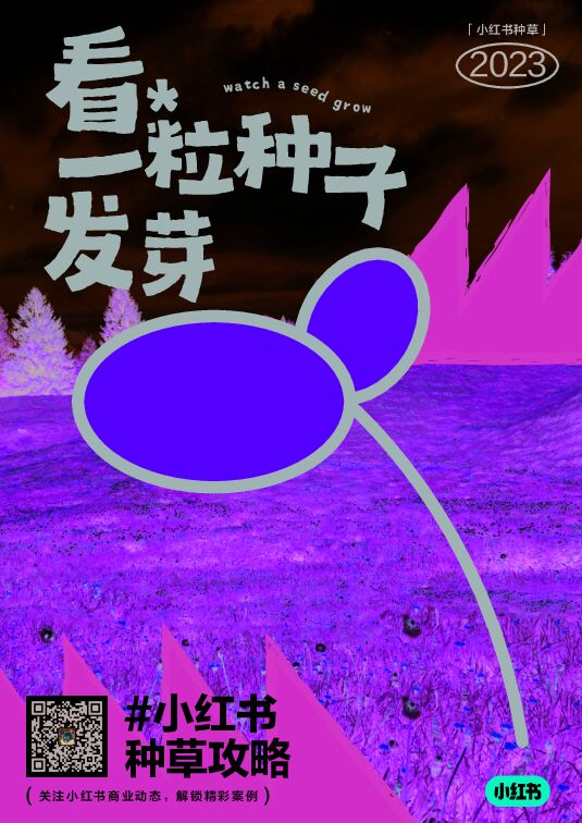 2023小红书种草攻略—看一粒种子发芽-小红书-202311.pdf