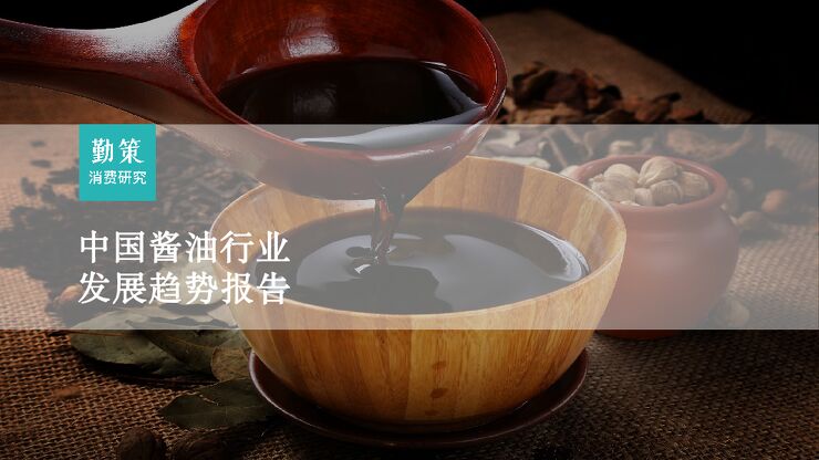 2023中国酱油行业发展趋势报告-勤策消费研究.pdf 2023中国酱油行业发展趋势报告-勤策消费研究.pdf