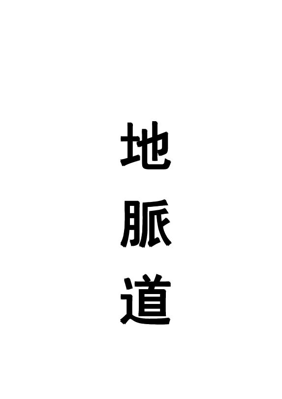 倪海厦天纪系列之地脉道.pdf 倪海厦天纪系列之地脉道.pdf
