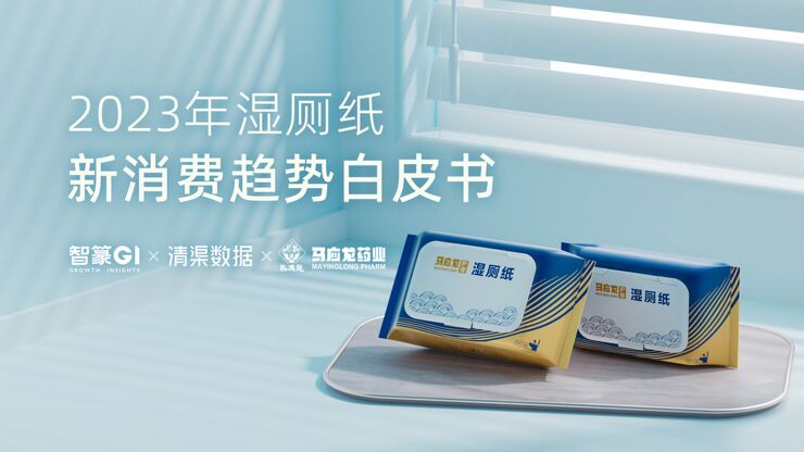 2023年湿厕纸新消费趋势白皮书-智篆-202312.pdf 2023年湿厕纸新消费趋势白皮书-智篆-202312.pdf