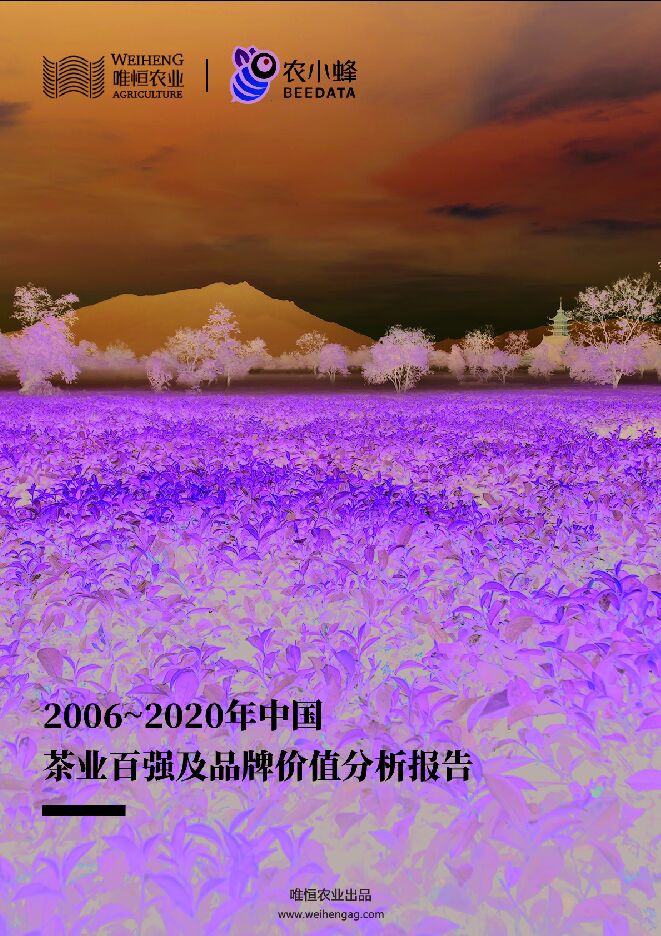 2006~2020年中国茶业百强及品牌价值分析简报-13页.pdf