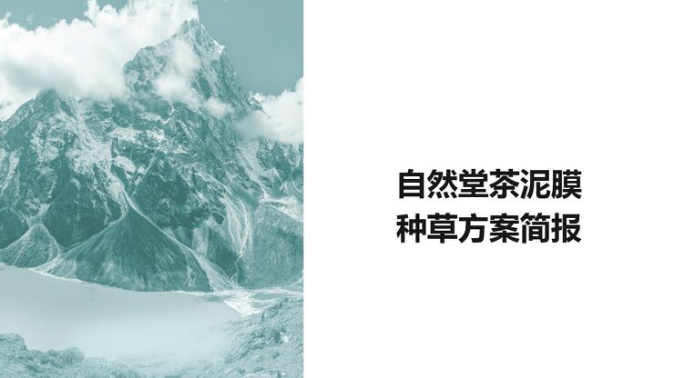 202312月更新-茶泥膜种草方案brief.pdf 202312月更新-茶泥膜种草方案brief.pdf