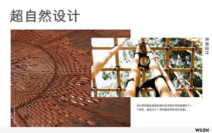 超自然设计.pdf