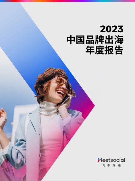 2023中国品牌出海年度报告-飞书深诺-202402.pdf 2023中国品牌出海年度报告-飞书深诺-202402.pdf