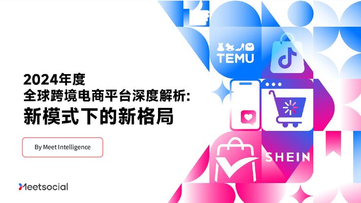 2024年度全球跨境电商平台深度解析报告：新模式下的新格局-飞书深诺-202406.pdf