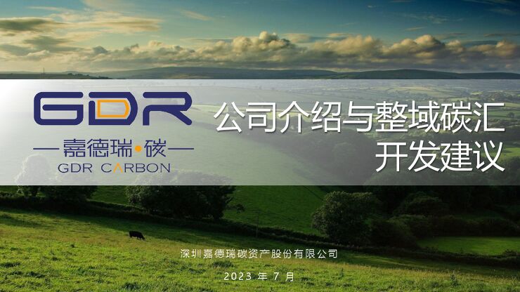 嘉德瑞公司介绍与整县域林业碳汇开发建议.pdf 嘉德瑞公司介绍与整县域林业碳汇开发建议.pdf