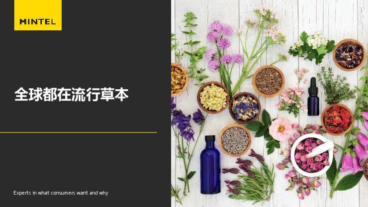 2024趋势洞察—全球都在流行草本-英敏特-202407.pdf 2024趋势洞察—全球都在流行草本-英敏特-202407.pdf