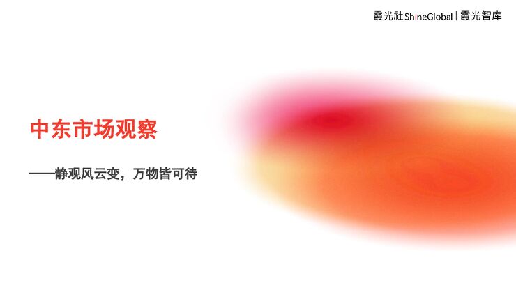 2024中东市场观察报告—静观风云变万物皆可待-霞光智库-202407.pdf 2024中东市场观察报告—静观风云变万物皆可待-霞光智库-202407.pdf