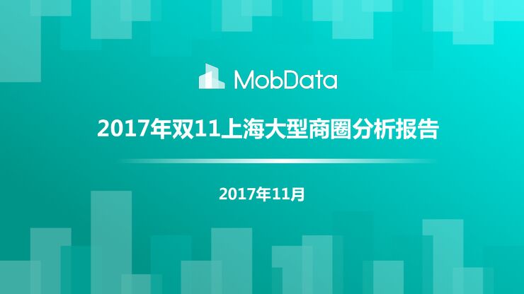 2017年双11上海大型商圈分析报告.pdf 2017年双11上海大型商圈分析报告.pdf