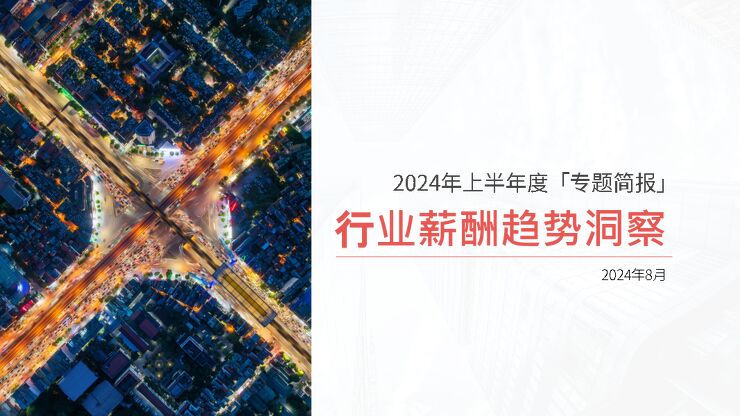 2024年上半年度行业薪酬趋势洞察报告-薪智-202408.pdf
