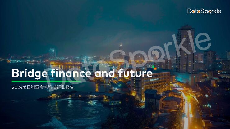 2024尼日利亚金融科技行业报告.pdf 2024尼日利亚金融科技行业报告.pdf