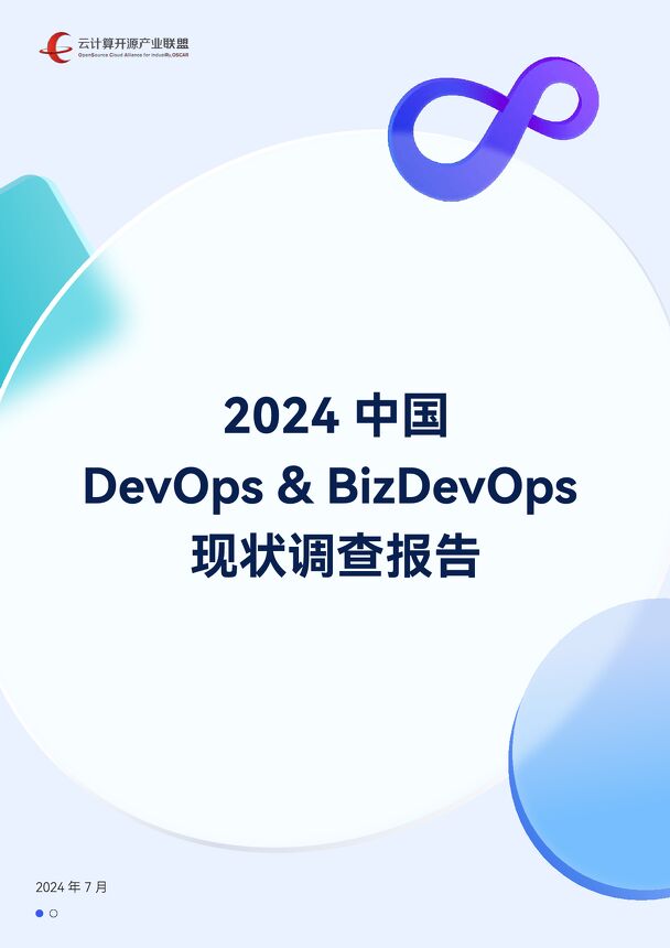 2024中国DevOps&BizDevOps现状调查报告.pdf 2024中国DevOps&BizDevOps现状调查报告.pdf