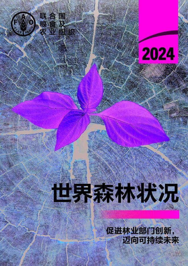 2024世界森林状况报告.pdf 2024世界森林状况报告.pdf