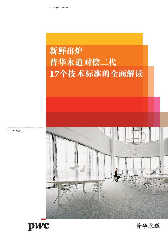 普华永道对偿二代 17个技术标准的全面解读.pdf