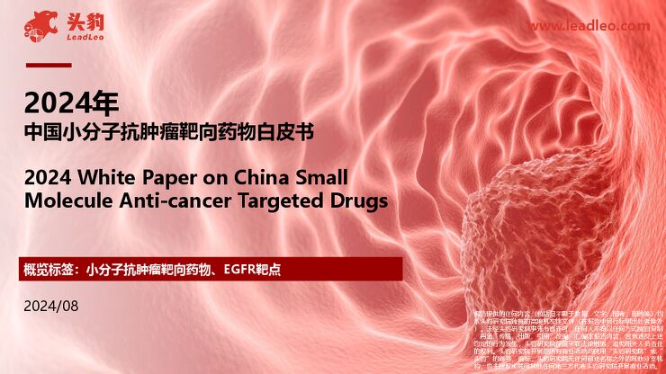 2024年中国小分子抗肿瘤靶向药物白皮书.pdf 2024年中国小分子抗肿瘤靶向药物白皮书.pdf