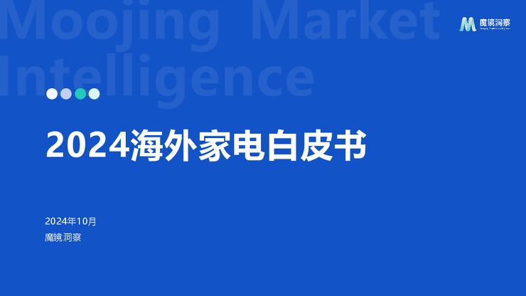 2024年海外家电白皮书-魔镜洞察-202410.pdf