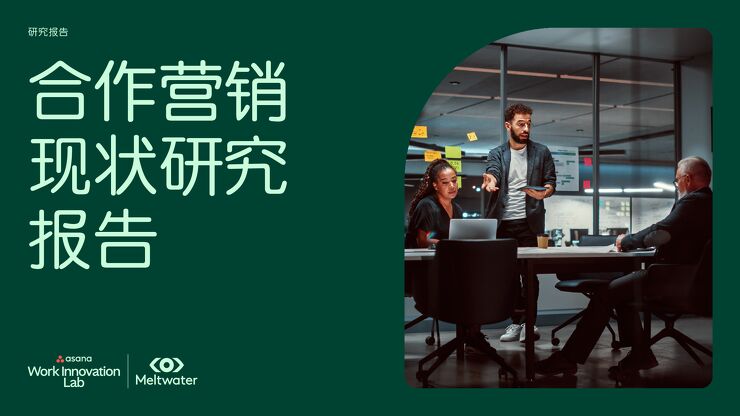 2024年合作营销现状研究报告-融文.pdf 2024年合作营销现状研究报告-融文.pdf