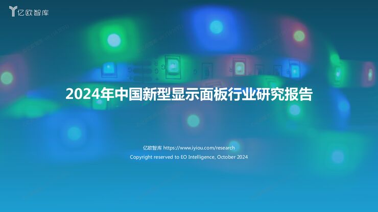2024年显示面板研究报告1029.pdf 2024年显示面板研究报告1029.pdf