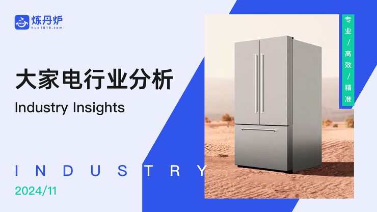 2024年大家电行业分析.pdf 2024年大家电行业分析.pdf