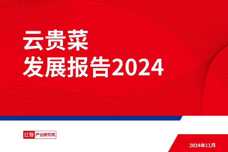 云贵菜发展报告2024-红餐-202411.pdf