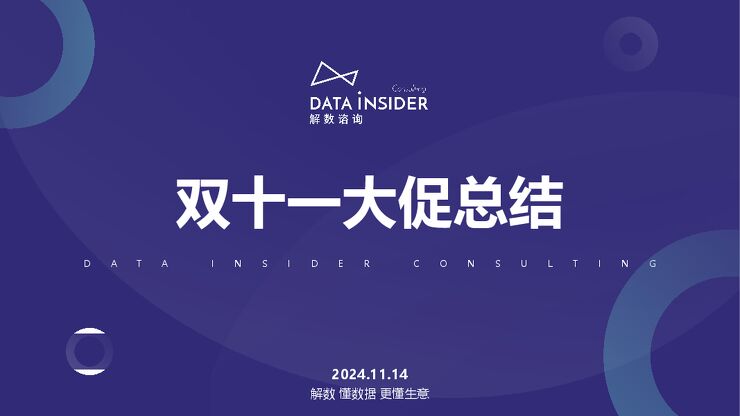 2024双十一大促总结报告-解数咨询-202412.pdf