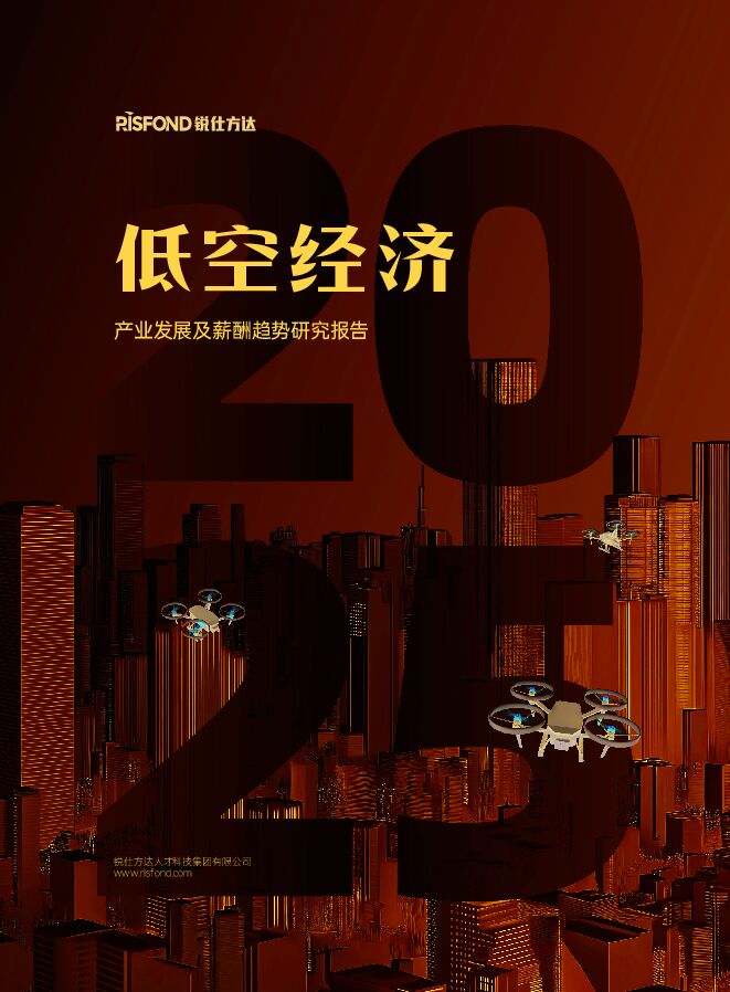 2025低空经济产业发展及薪酬趋势研究报告-锐仕方达-202412.pdf 2025低空经济产业发展及薪酬趋势研究报告-锐仕方达-202412.pdf