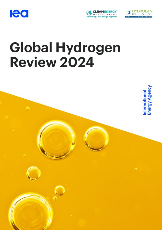2024年全球氢评价.pdf 2024年全球氢评价.pdf