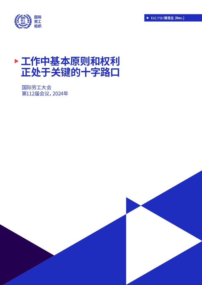 2024年工作中基本原则和权利正处于关键的十字路口研究报告.pdf