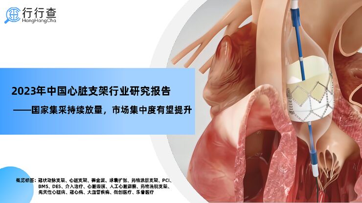 2023年中国心脏支架行业研究报告：国家集采持续放量，市场集中度有望提升.pdf