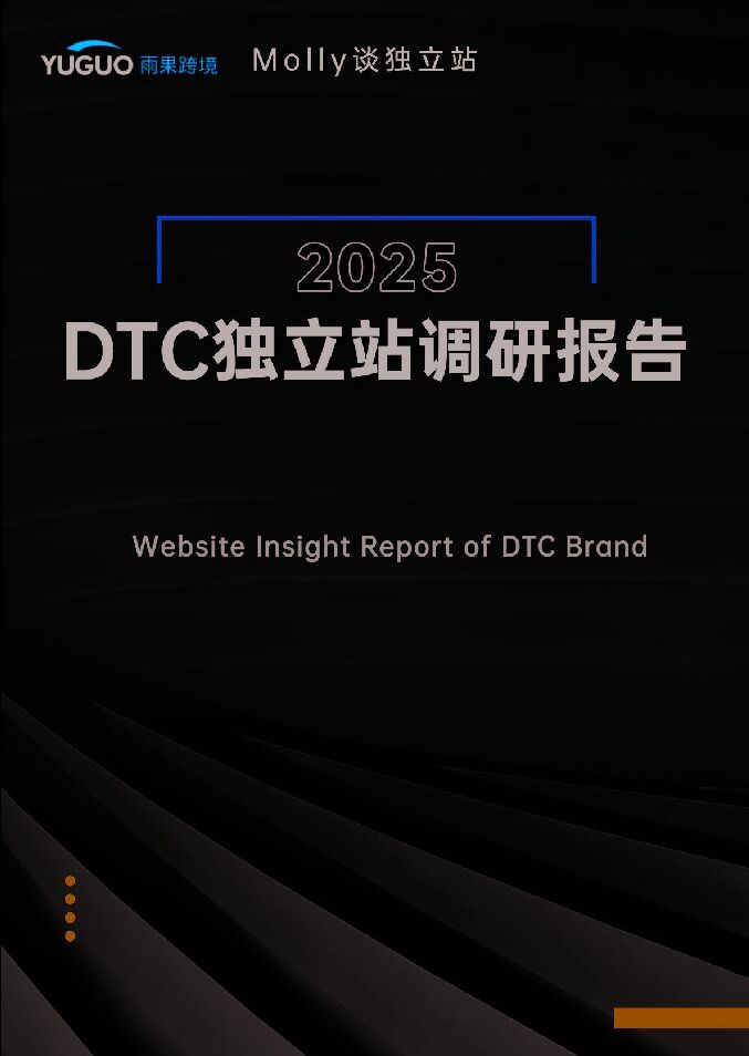 2025DTC独立站调研报告-雨果跨境-202501.pdf 2025DTC独立站调研报告-雨果跨境-202501.pdf