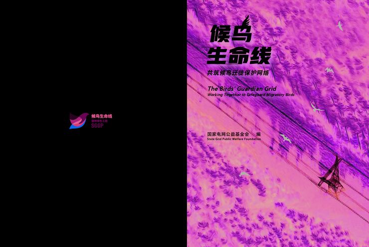 候鸟生命线—共筑候鸟迁徙保护网络.pdf 候鸟生命线—共筑候鸟迁徙保护网络.pdf