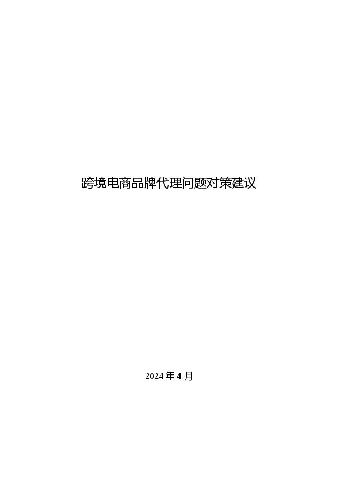 2024年跨境电商品牌代理问题对策建议.pdf 2024年跨境电商品牌代理问题对策建议.pdf