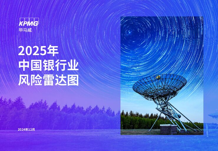 2025年中国银行业风险雷达图.pdf 2025年中国银行业风险雷达图.pdf