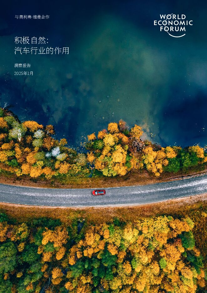 2025自然受益转型:汽车行业的作用洞察报告.pdf 2025自然受益转型:汽车行业的作用洞察报告.pdf
