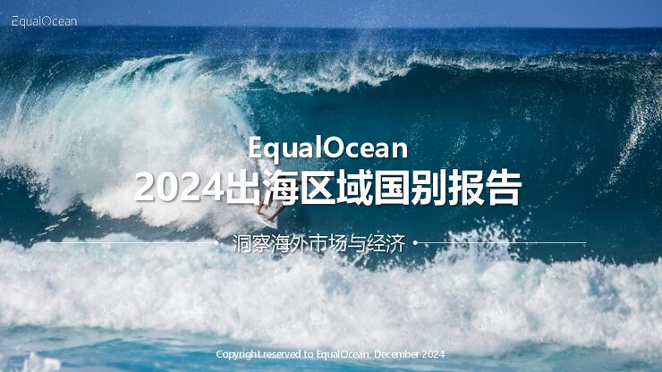 2024出海区域国别报告.pdf 2024出海区域国别报告.pdf