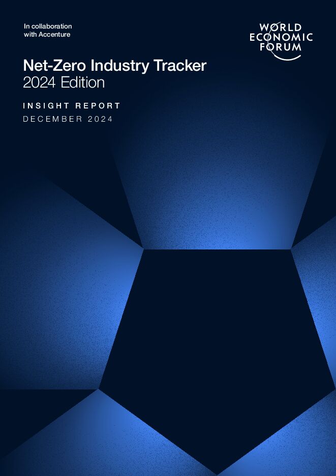 2024年净零行业追踪报告(1).pdf
