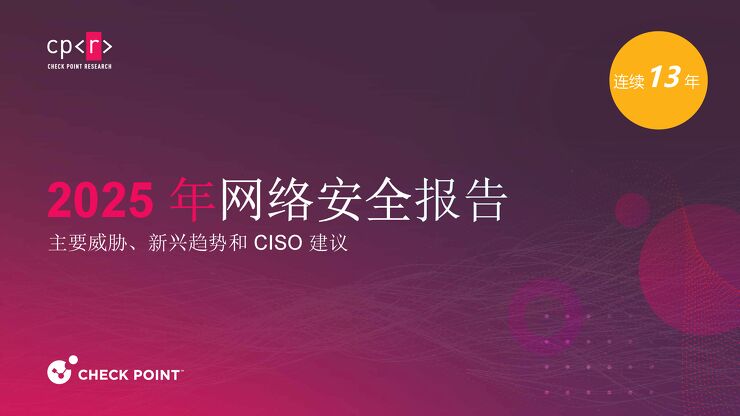 2025年网络安全报告.pdf 2025年网络安全报告.pdf